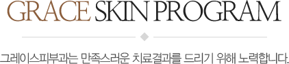 GRACE SKIN PROGRAM ׷̽Ǻΰ  ġ 帮  մϴ.
