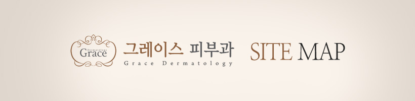 ����Ʈ��